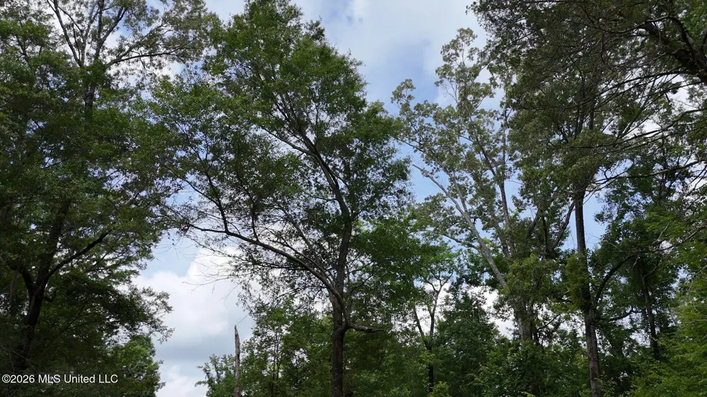 0 Dogwood Road Vicksburg, MS 39180