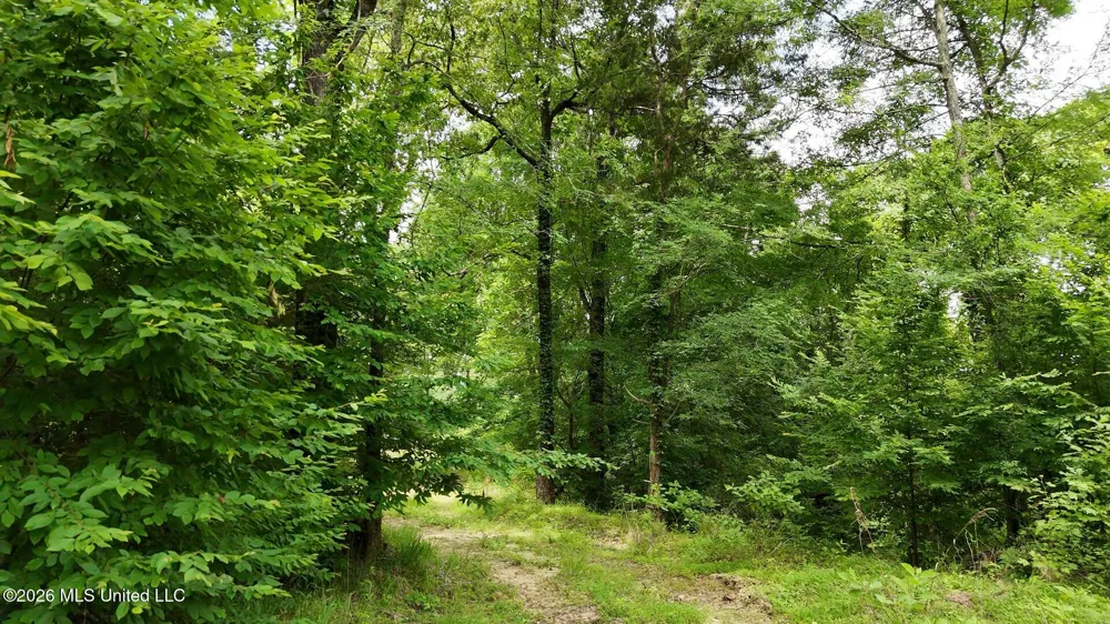 0 Dogwood Road Vicksburg, MS 39180