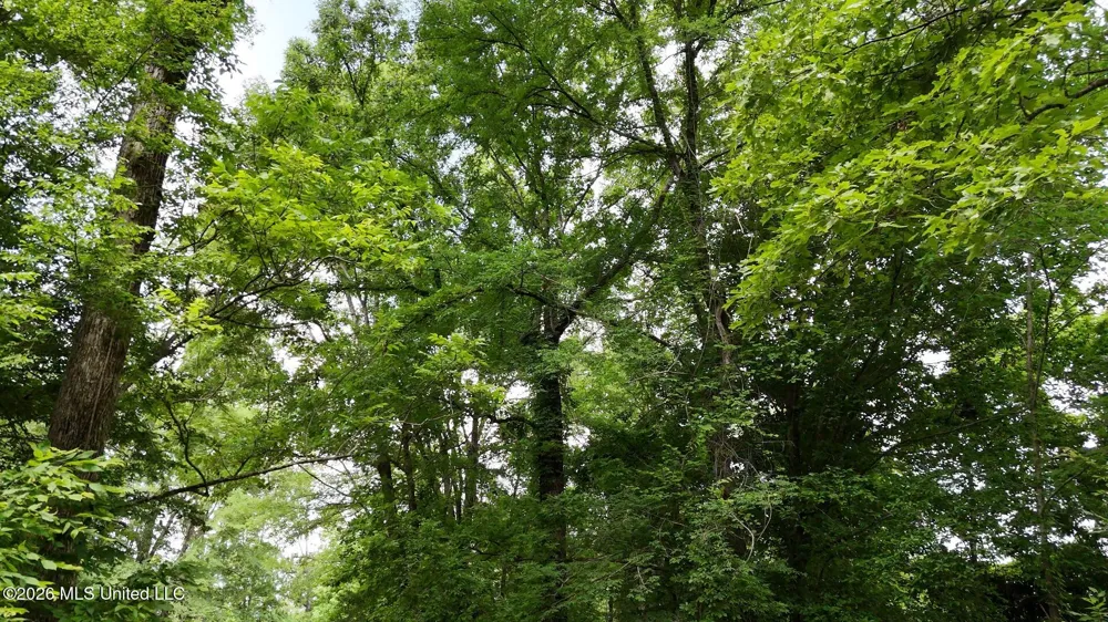 0 Dogwood Road Vicksburg, MS 39180