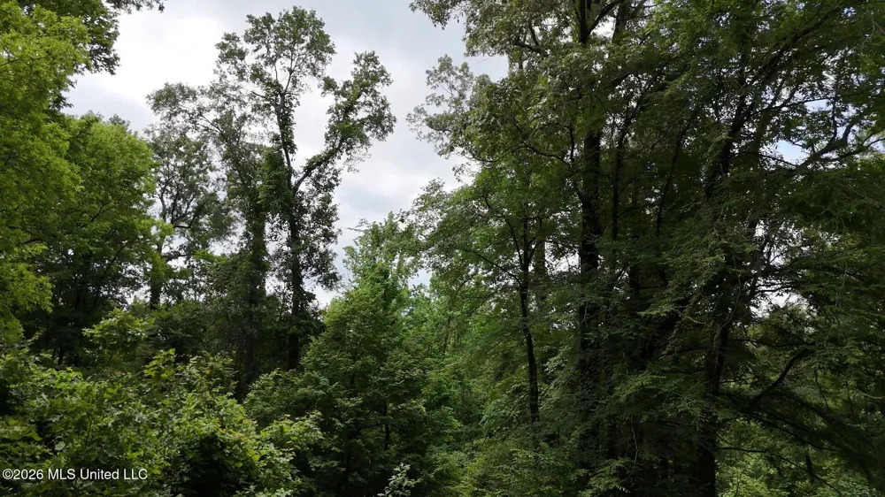 0 Dogwood Road Vicksburg, MS 39180
