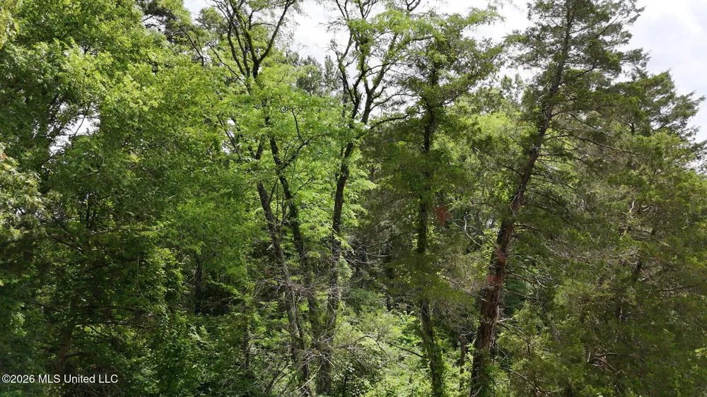 0 Dogwood Road Vicksburg, MS 39180