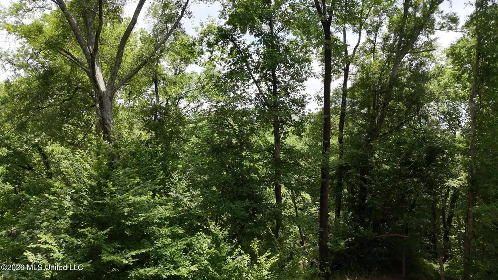 0 Dogwood Road Vicksburg, MS 39180