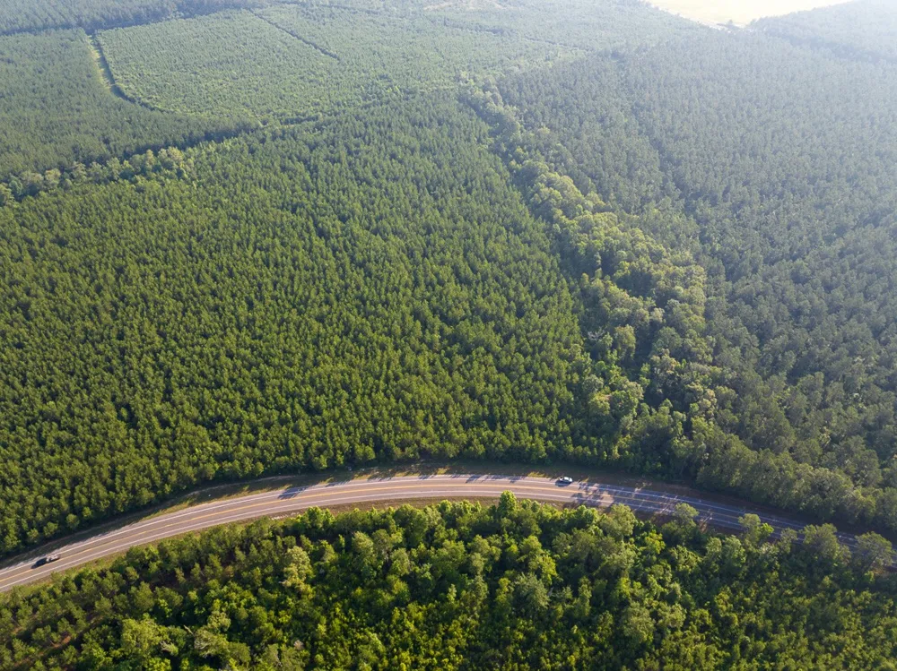2 Highway 10 Pitkin, LA 70656