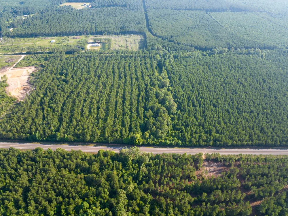 3 Highway 10 Pitkin, LA 70656
