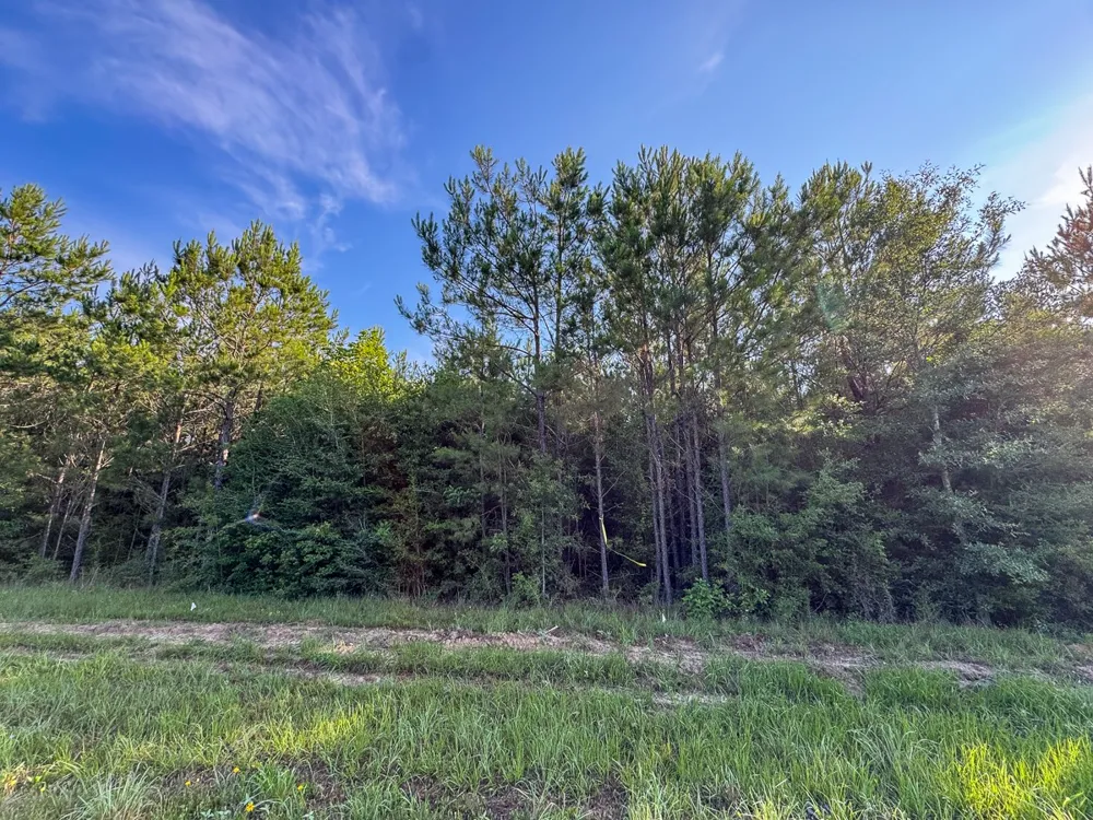 4 Highway 10 Pitkin, LA 70656