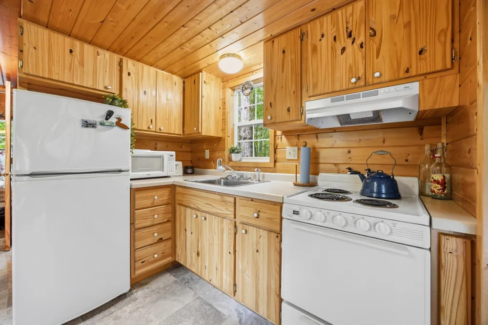 51305 Curly Drive Deer Creek, MN 56527