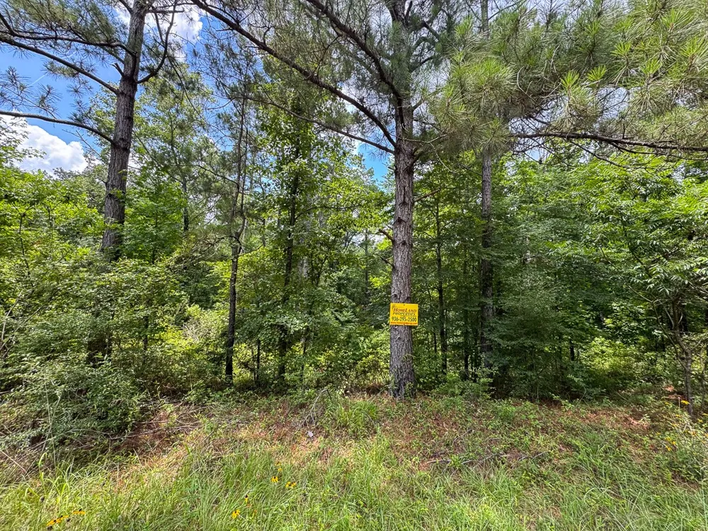 3 Posey Webb Camp Road Sicily Island, LA 71343