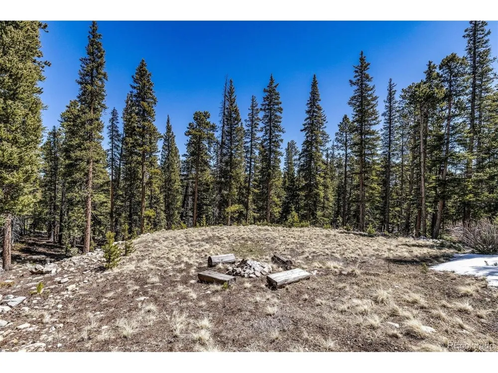 248 Puma Place Fairplay, CO 80440