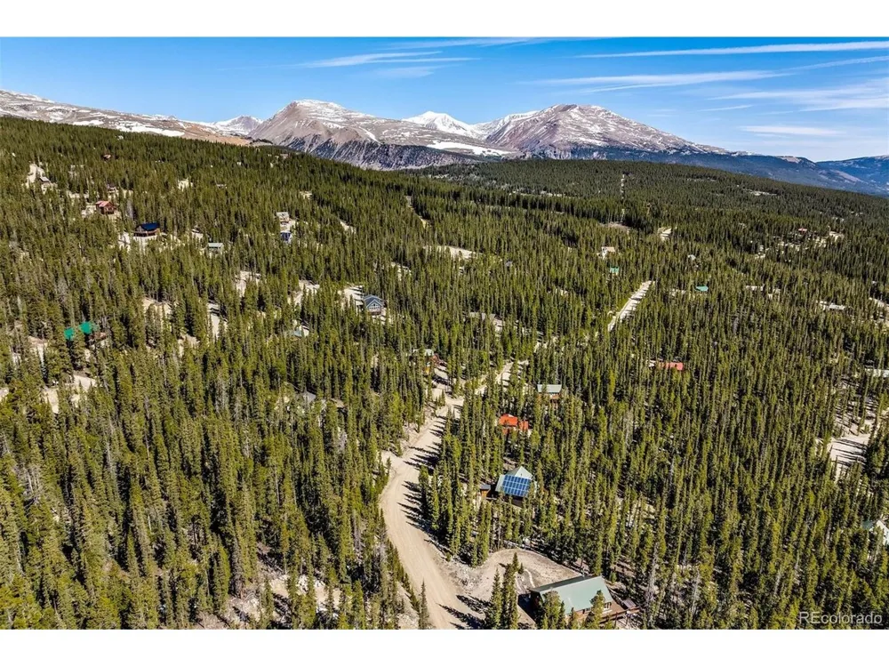 248 Puma Place Fairplay, CO 80440