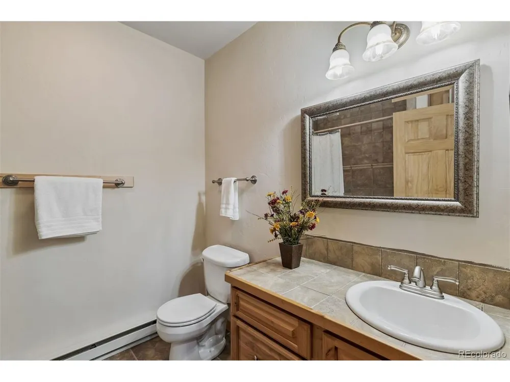 248 Puma Place Fairplay, CO 80440