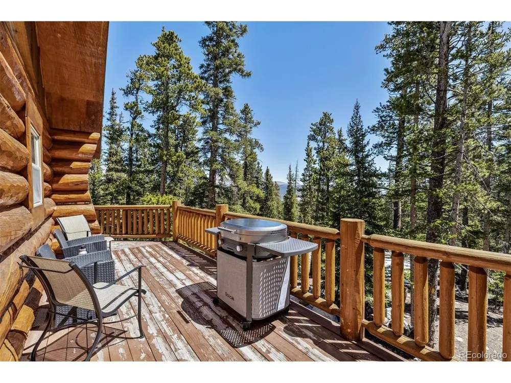 248 Puma Place Fairplay, CO 80440