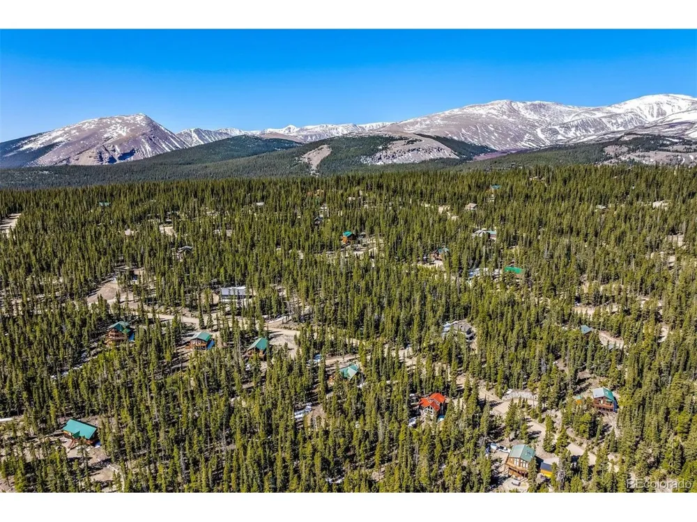 248 Puma Place Fairplay, CO 80440