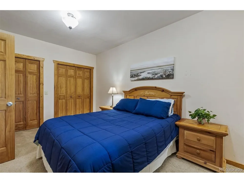 248 Puma Place Fairplay, CO 80440