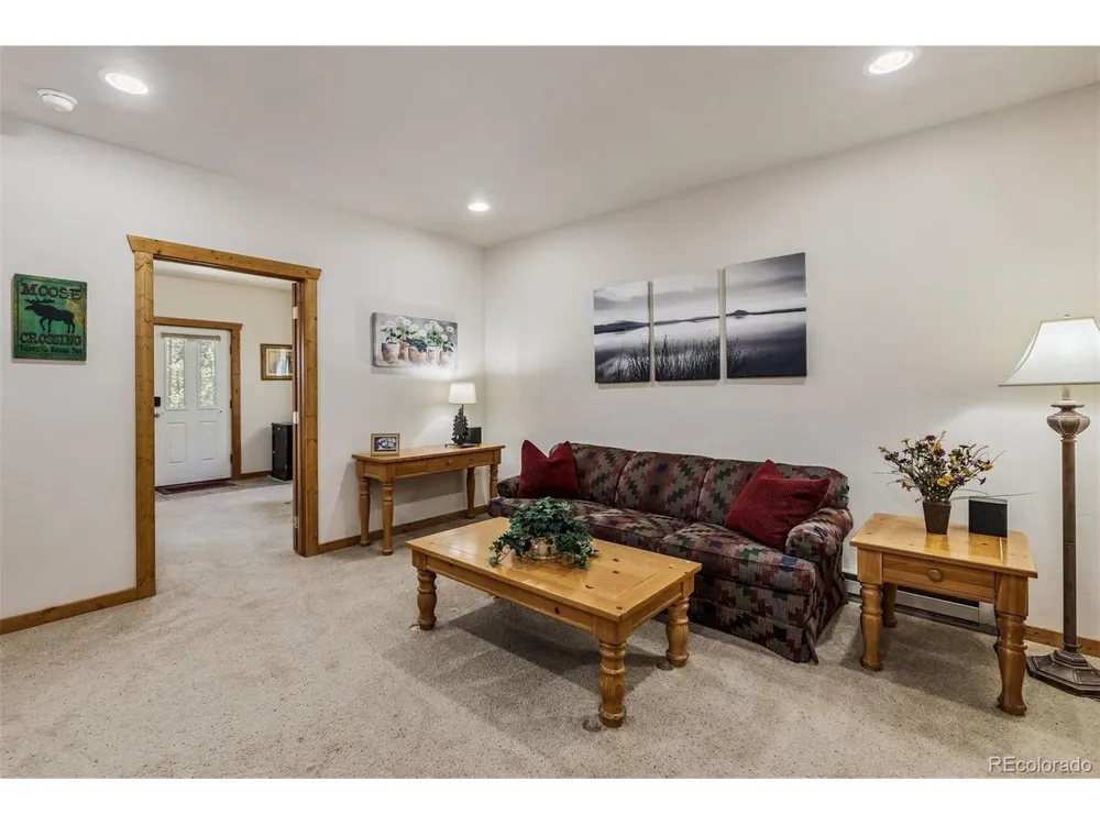 248 Puma Place Fairplay, CO 80440