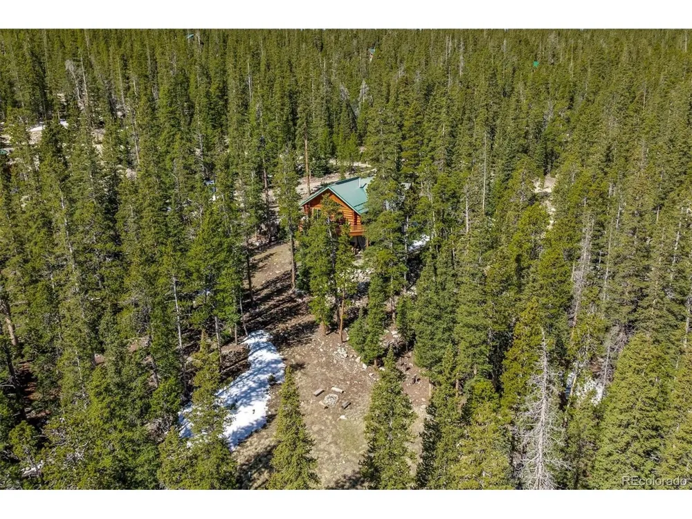 248 Puma Place Fairplay, CO 80440