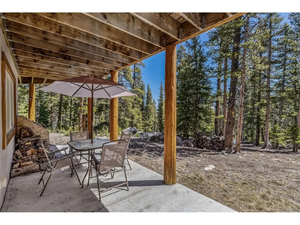 248 Puma Place Fairplay, CO 80440