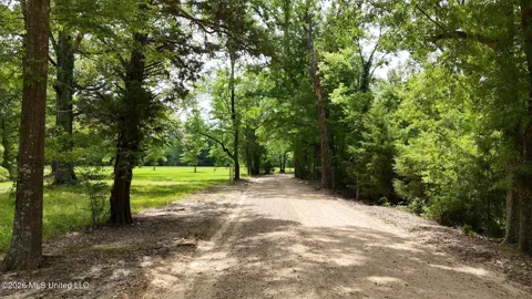 00 Dogwood Road