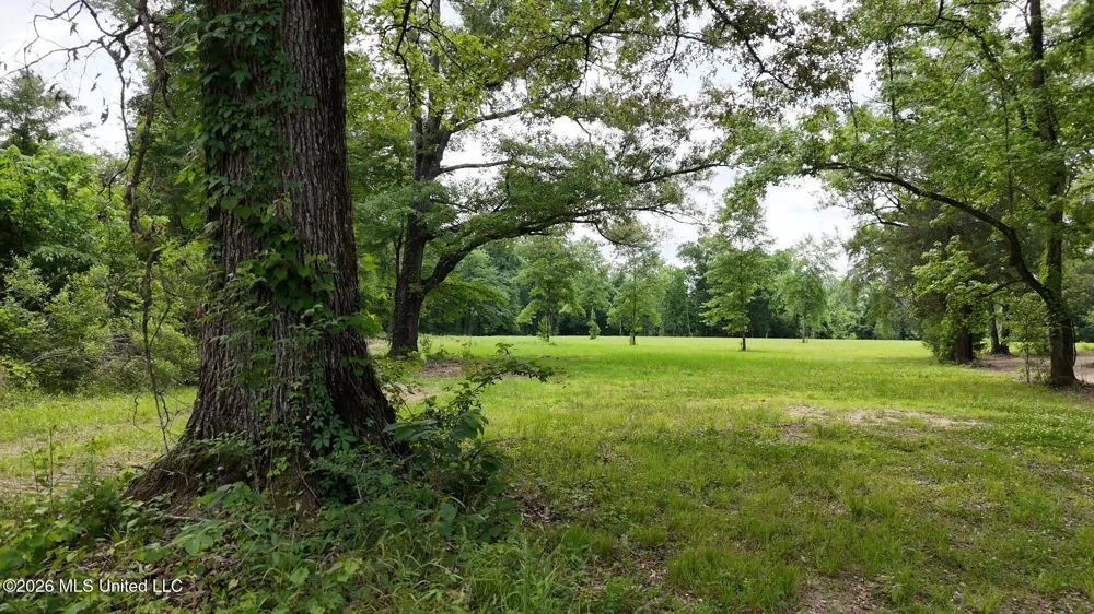 00 Dogwood Road Vicksburg, MS 39180