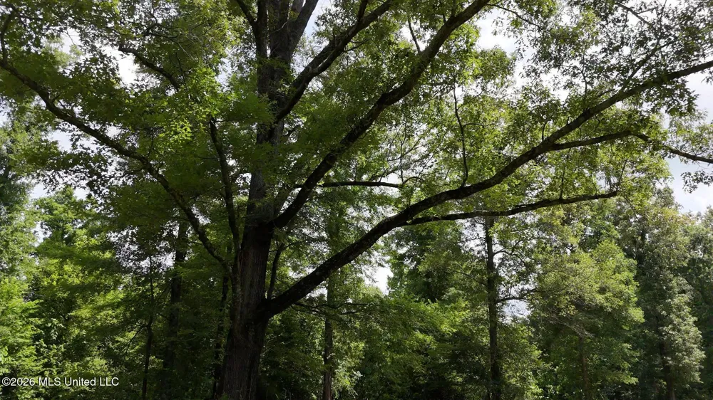 00 Dogwood Road Vicksburg, MS 39180