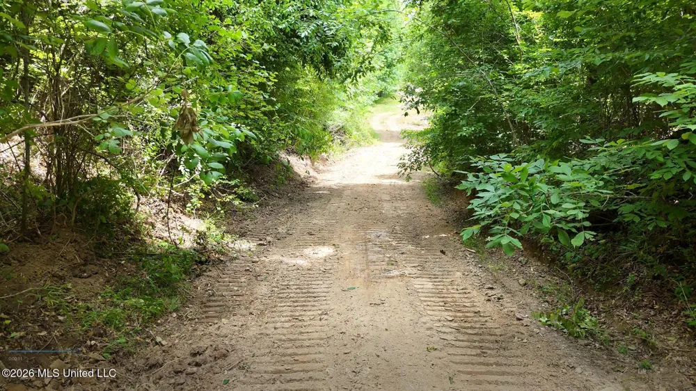 00 Dogwood Road Vicksburg, MS 39180