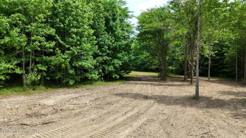 00 Dogwood Road Vicksburg, MS 39180
