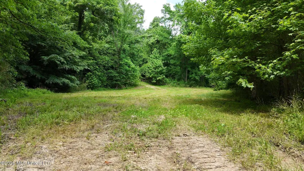 00 Dogwood Road Vicksburg, MS 39180