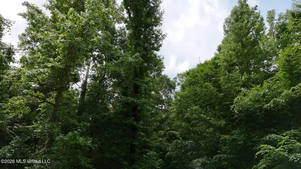 00 Dogwood Road Vicksburg, MS 39180