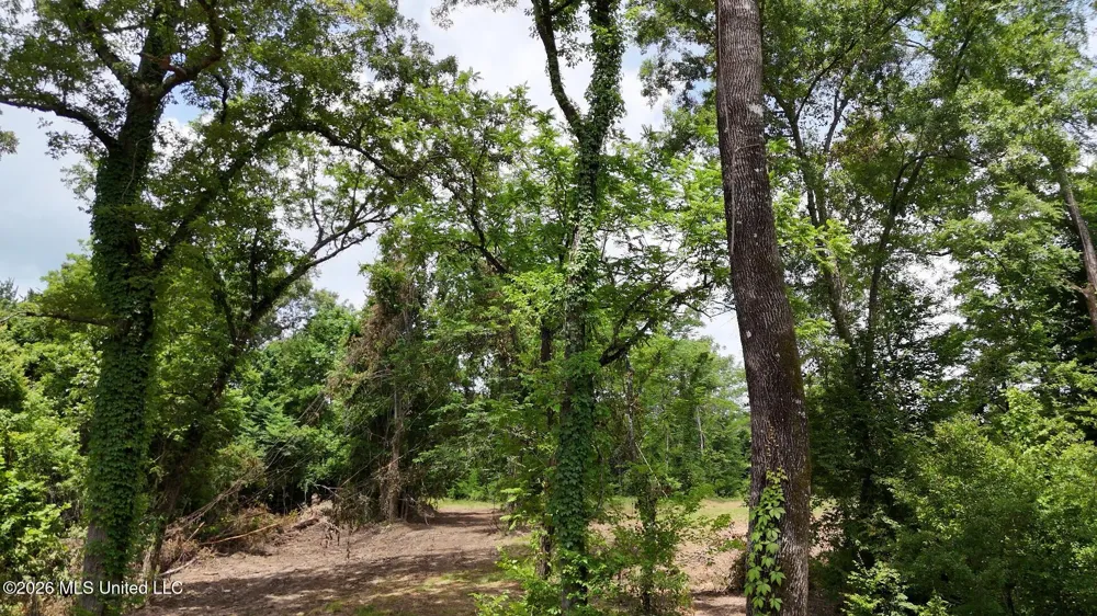 00 Dogwood Road Vicksburg, MS 39180