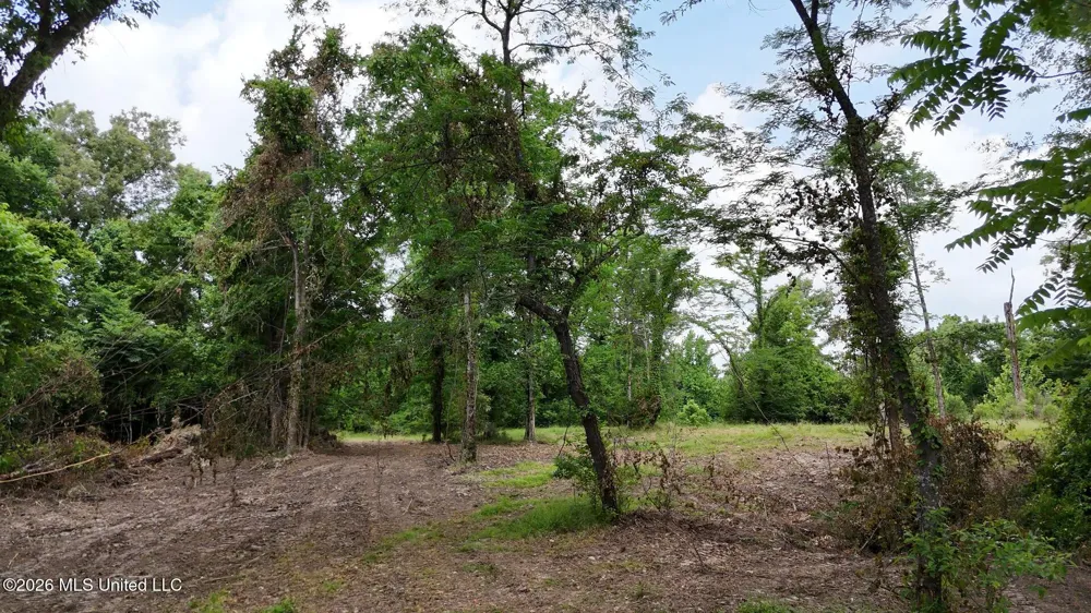 00 Dogwood Road Vicksburg, MS 39180