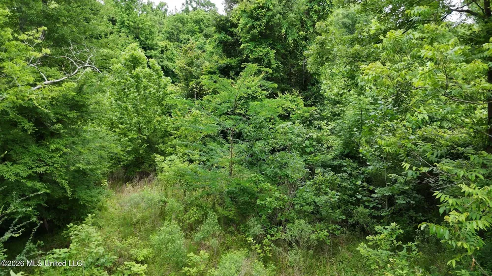 00 Dogwood Road Vicksburg, MS 39180