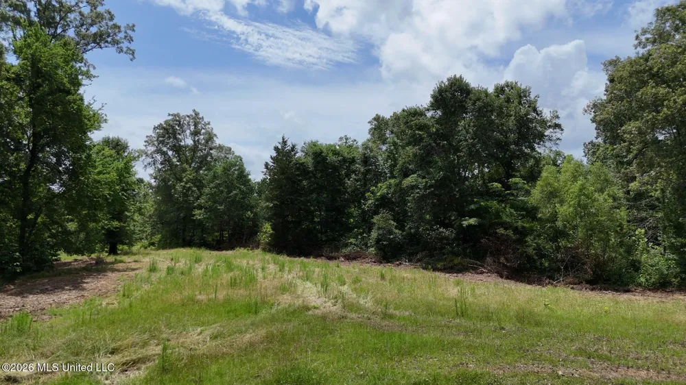 00 Dogwood Road Vicksburg, MS 39180