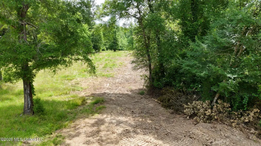 00 Dogwood Road Vicksburg, MS 39180