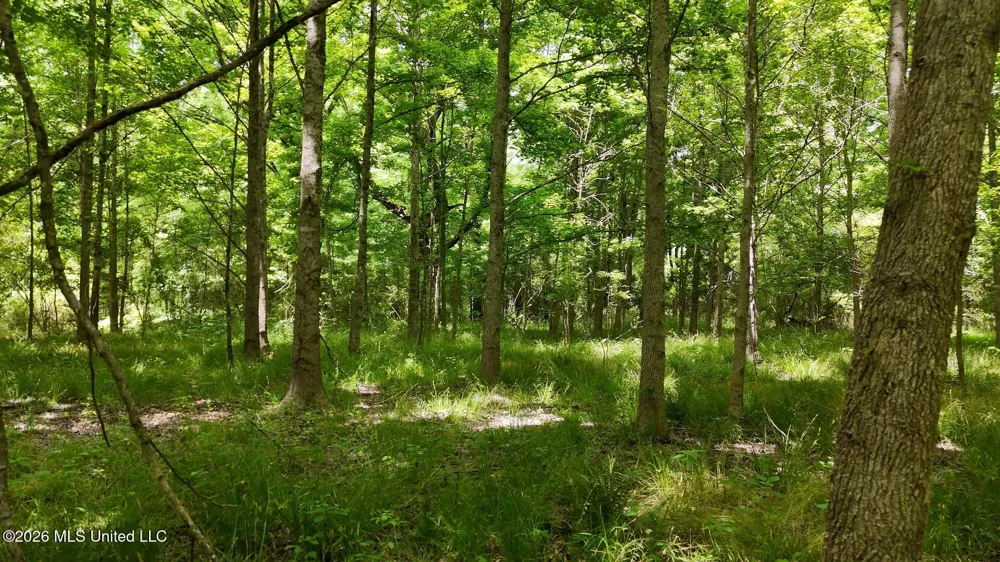 00 Dogwood Road Vicksburg, MS 39180