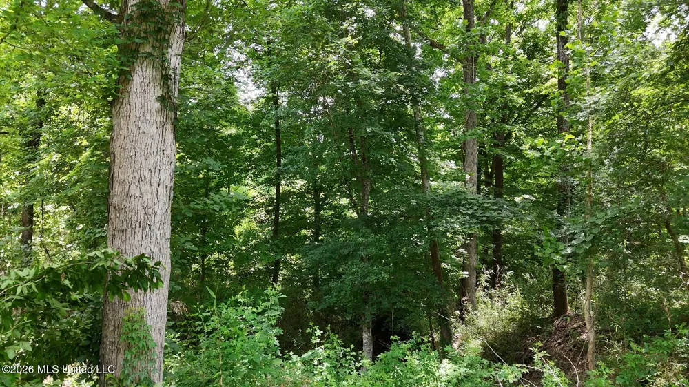 00 Dogwood Road Vicksburg, MS 39180