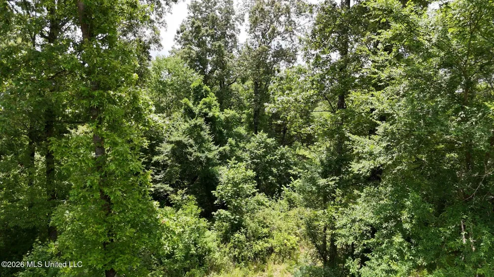00 Dogwood Road Vicksburg, MS 39180