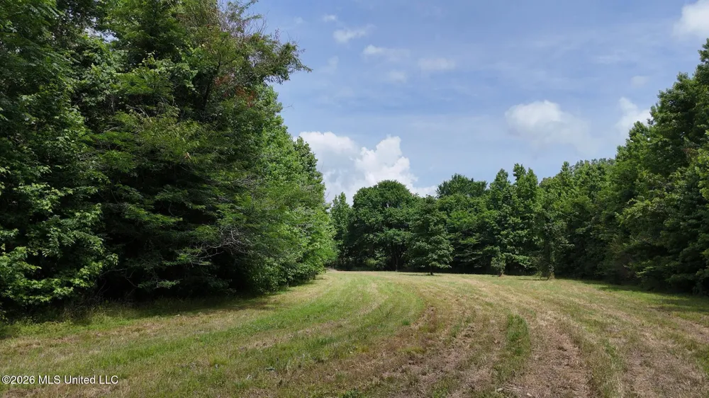 00 Dogwood Road Vicksburg, MS 39180