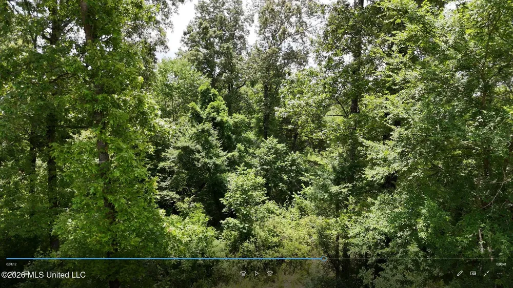 00 Dogwood Road Vicksburg, MS 39180