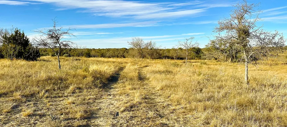 County Road Sidney, TX 76474