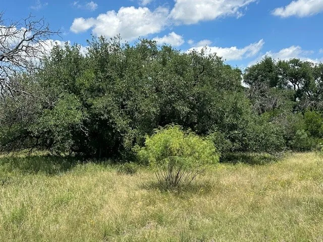 County Road Sidney, TX 76474