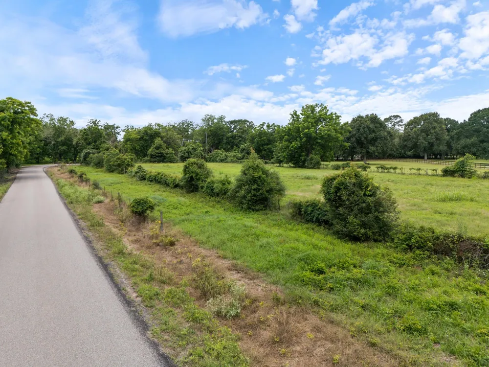 0 County Road 13 Damon, TX 77430