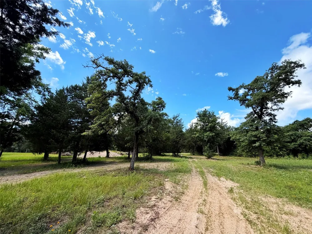 6488 Fm 39 S Marquez, TX 77865