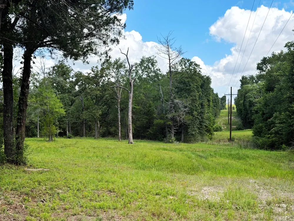 6488 Fm 39 S Marquez, TX 77865