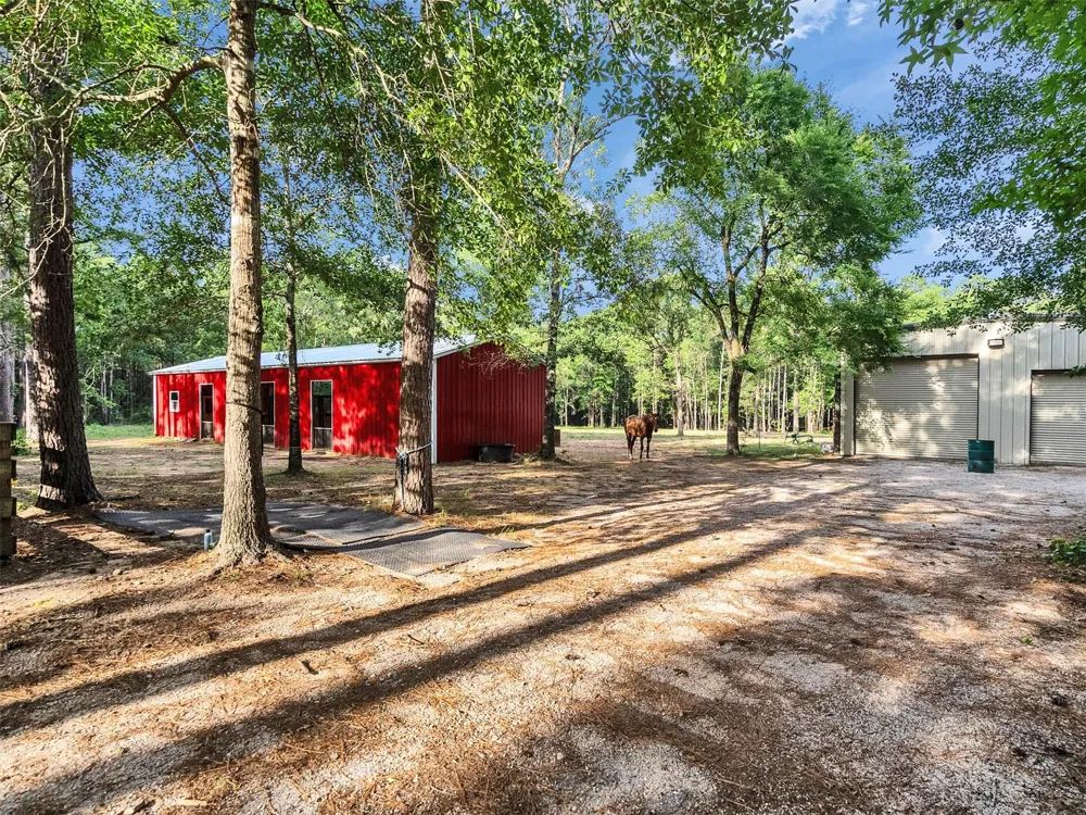9058 Amelia Drive Anderson, TX 77830
