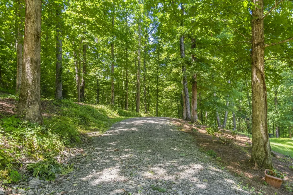7855 Barnhill Rd Primm Springs, TN 38476