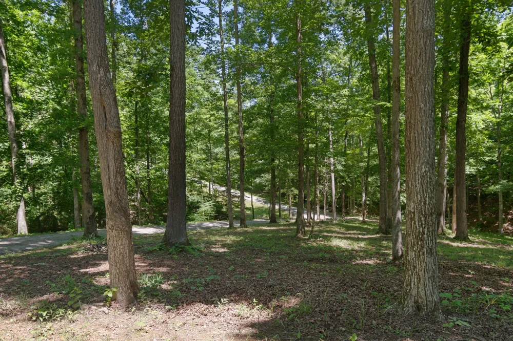 7855 Barnhill Rd Primm Springs, TN 38476