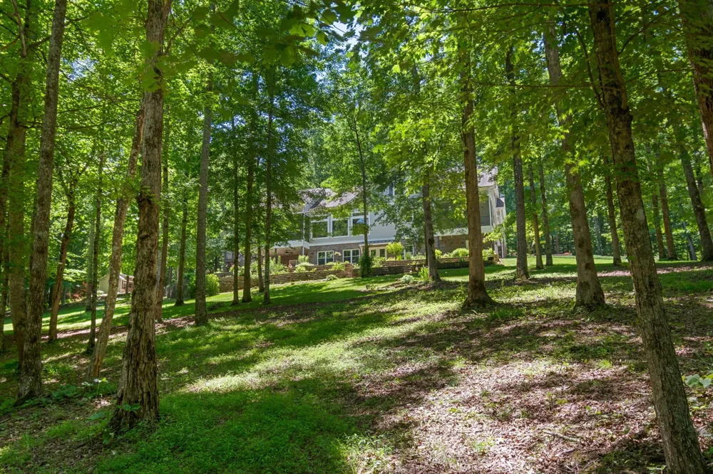 7855 Barnhill Rd Primm Springs, TN 38476