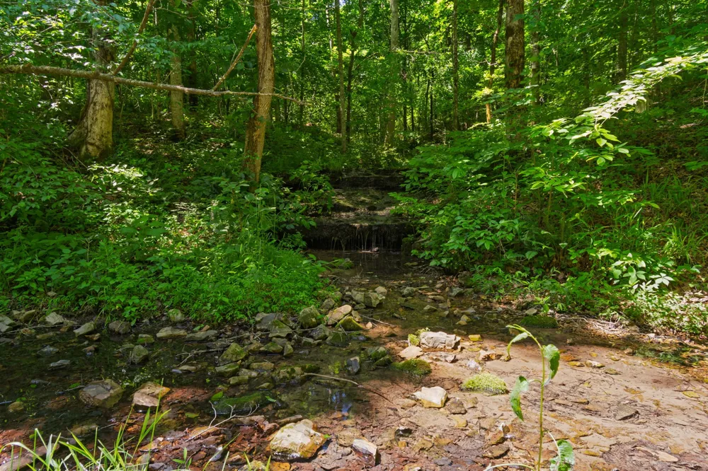 7855 Barnhill Rd Primm Springs, TN 38476