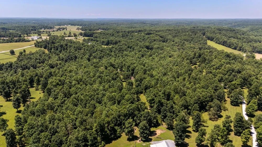 7855 Barnhill Rd Primm Springs, TN 38476