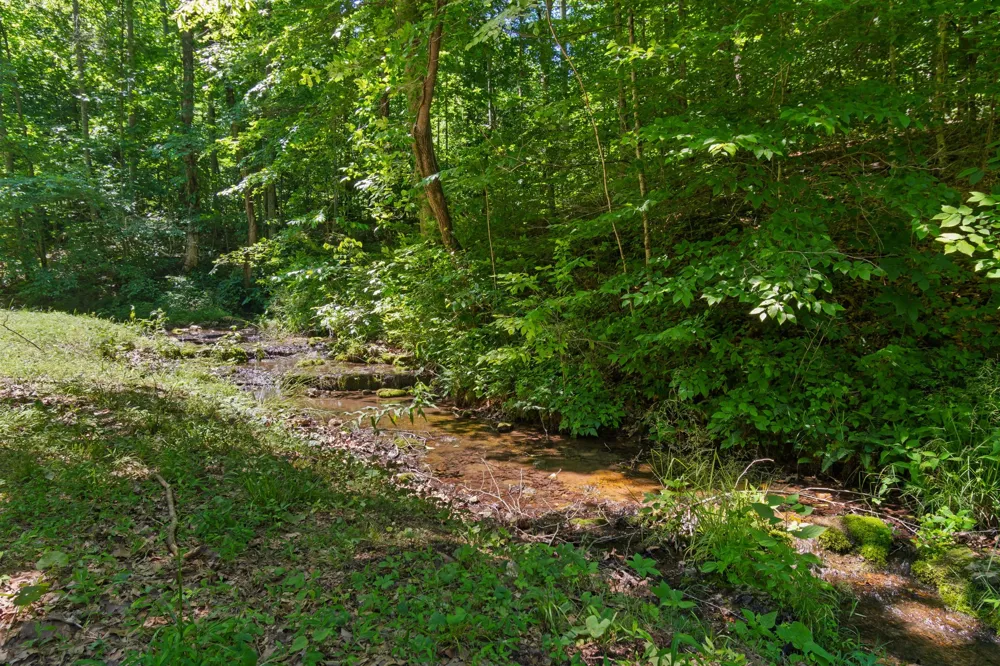 7855 Barnhill Rd Primm Springs, TN 38476