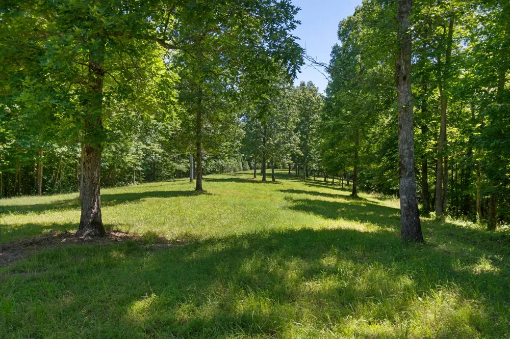 7855 Barnhill Rd Primm Springs, TN 38476